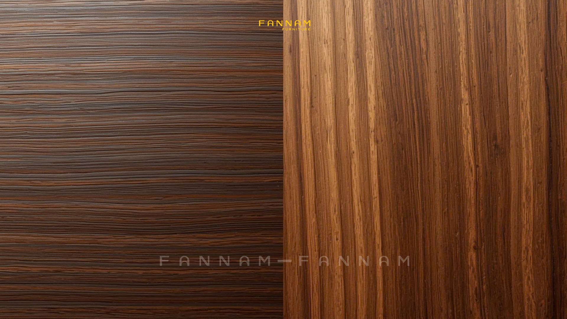 594970847_122144406734421303_6538182863352029592_n