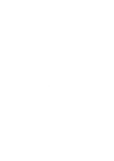 Signorinicoco