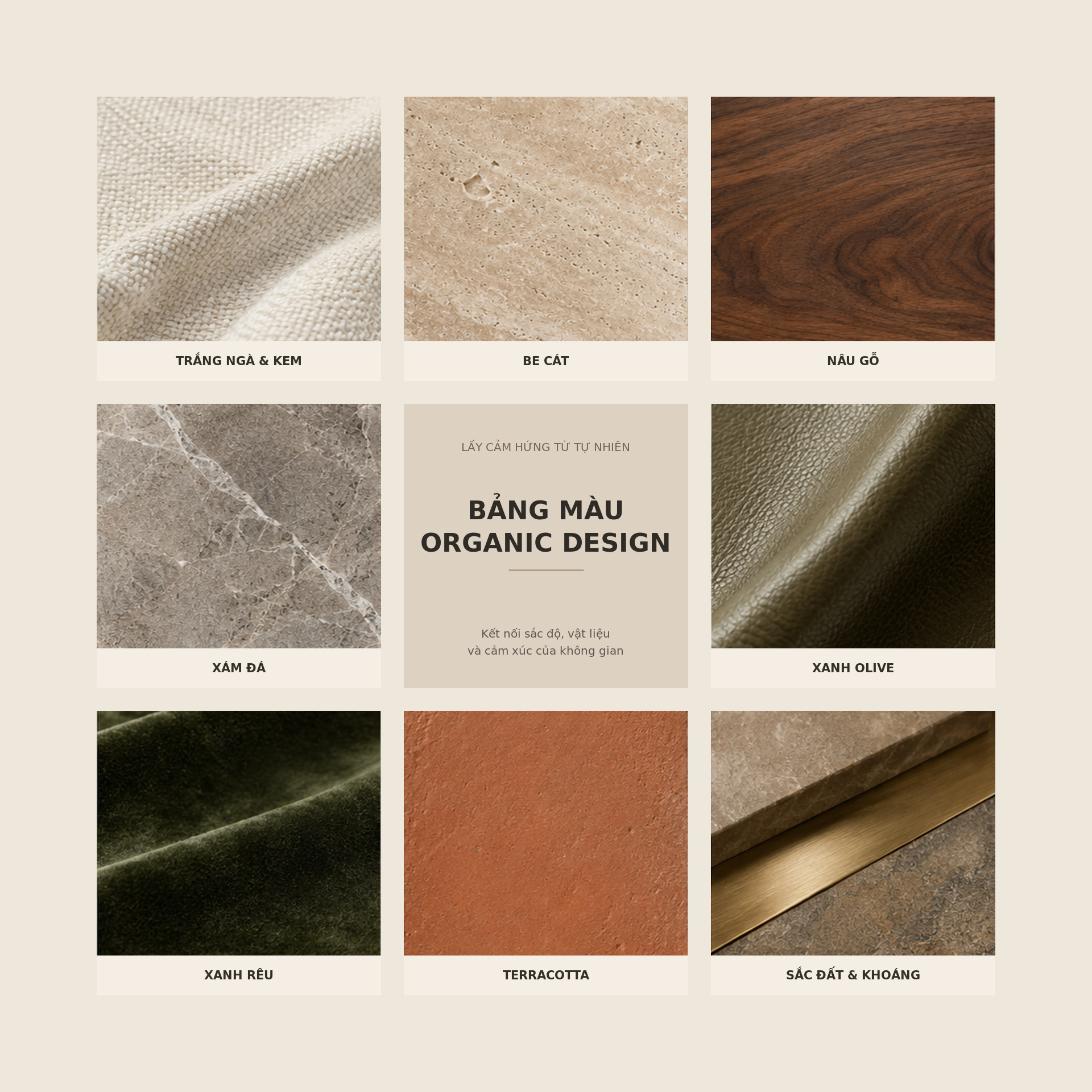 bang mau ORGANIC DESIGN 2