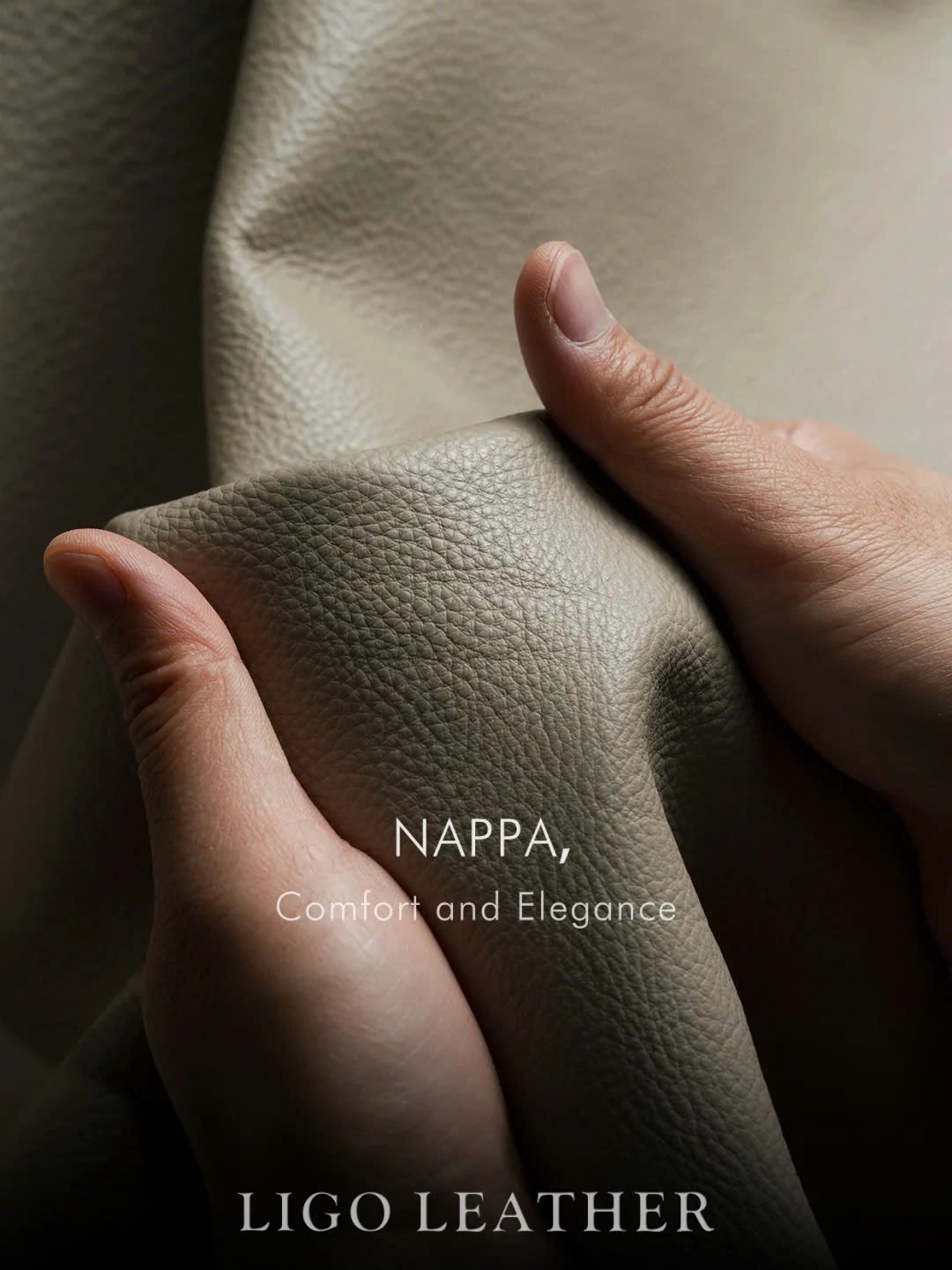 z6764503865076_a9f020a3856d63809988e481893541b4